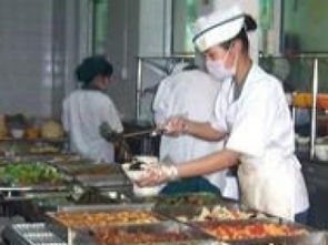 攜手金飯碗，共贏新“食”代 廣州團膳配送與食堂承包服務的品質之選